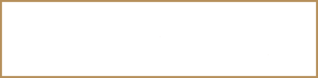 Mir & Bashir logo